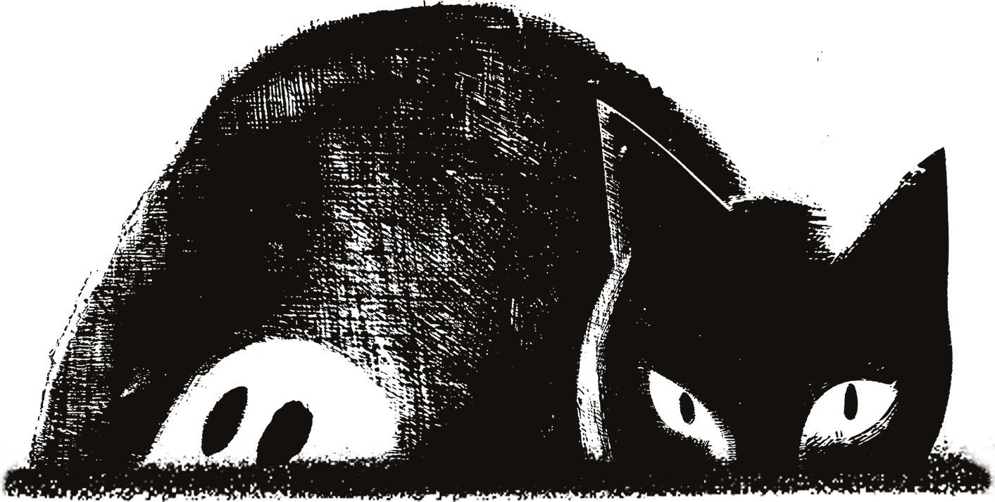 Tshirt z kotem - grafika na bawełnianej koszulce z kolekcji GHOST 2